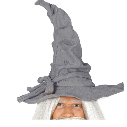 Halloween Tovenaarshoed Grijs van Fiestas Guirca koop je bij Partywinkel