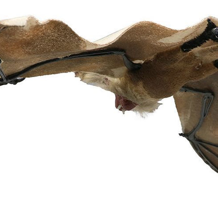 Halloween Vleermuis 60cm van Fiestas Guirca koop je bij Partywinkel