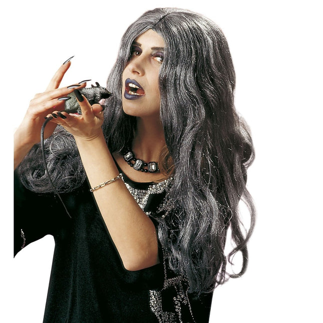 Heks Pruik Grijs Crudelia van Widmann koop je bij Partywinkel