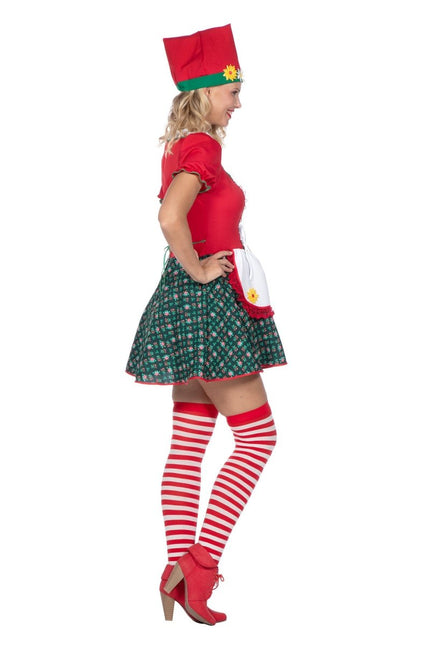 Kabouter Jurk Dames van Wilbers & Wilbers koop je bij Partywinkel