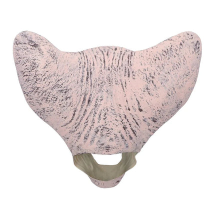 Latex hoofdmasker Horror cat van Boland koop je bij Partywinkel