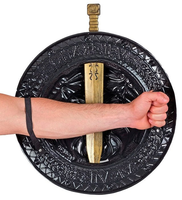 Leeuwenhart Schild en Zwaard van Widmann koop je bij Partywinkel