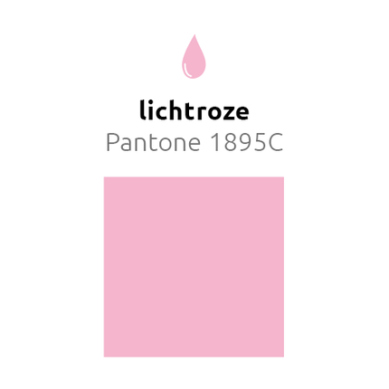 Lichtroze Reuze Ballon 60cm - Partywinkel - 8436540877048