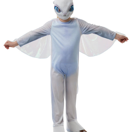 Costume da Furia Leggera Bambino