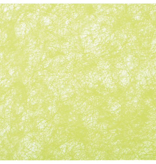 Nastro verde lime 10m
