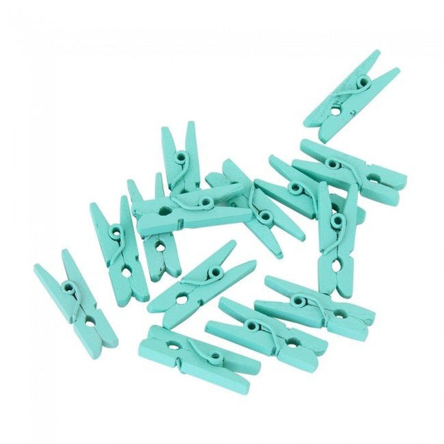 Mini Knijpers Hout Mint Groen 24st van WeFiesta koop je bij Partywinkel
