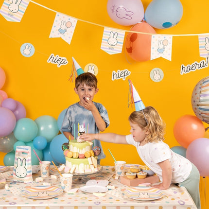 Nijntje Letterslinger Gekleurd 2,65m van Haza Witbaard koop je bij Partywinkel