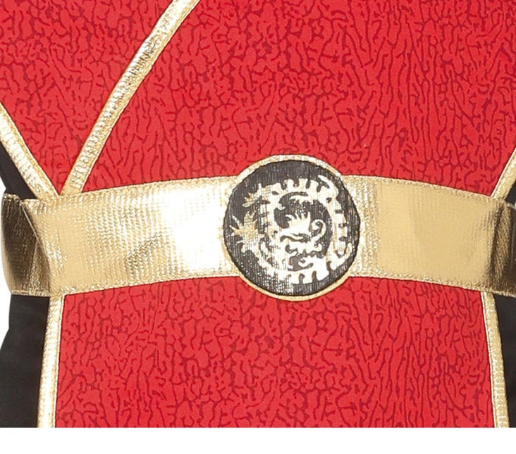 Ninja Pak Kind Draak van Fiestas Guirca koop je bij Partywinkel