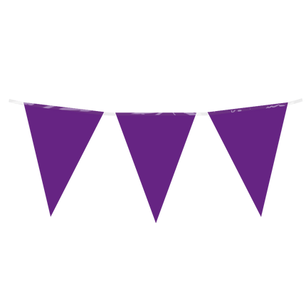 Paars Slinger 10m - Partywinkel - 8716764235863