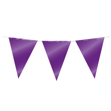 Paarse Slinger 10m - Partywinkel - 8716764236341