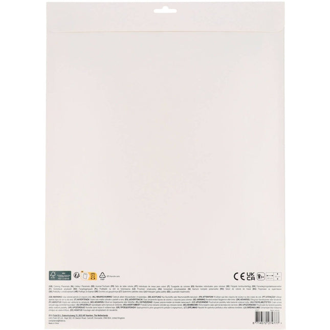 Piraat Placemats Met Activiteiten 40cm 6st van Folat koop je bij Partywinkel