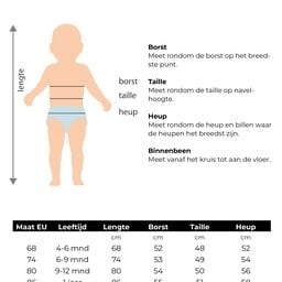 Piraten Kostuum Bruin Baby van Wilbers & Wilbers koop je bij Partywinkel