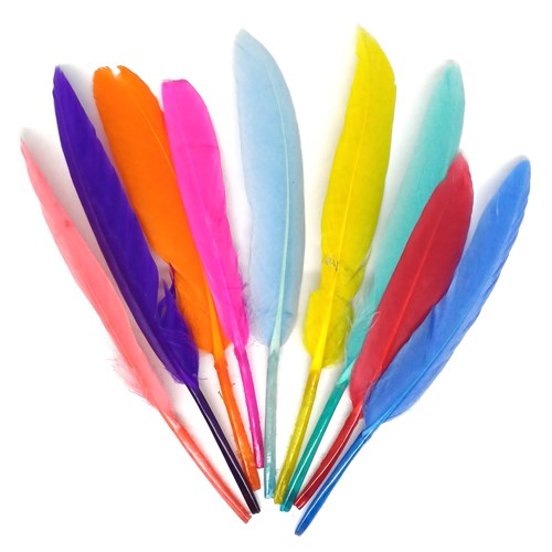 Piume colorate (100 pezzi)