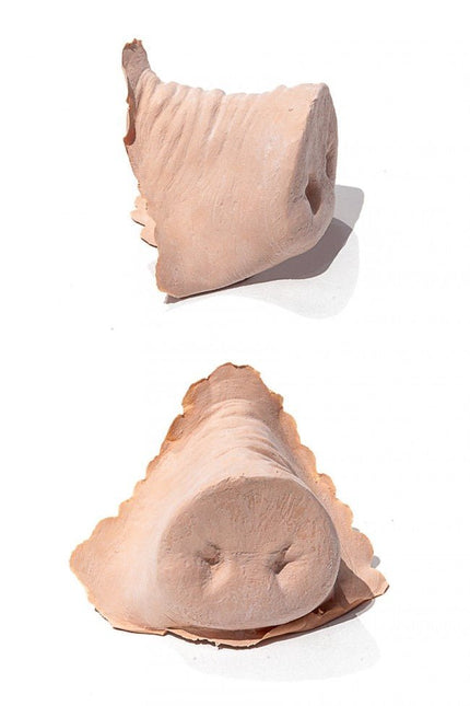 PXP Latex Varkensneus van PXP Professional Colours koop je bij Partywinkel