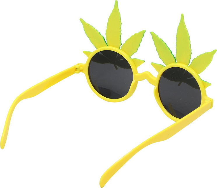 Rasta Bril van Fiestas Guirca koop je bij Partywinkel