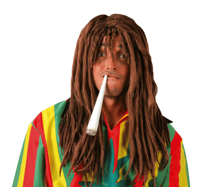 Rasta Pruik Bruin Lang van Fiestas Guirca koop je bij Partywinkel