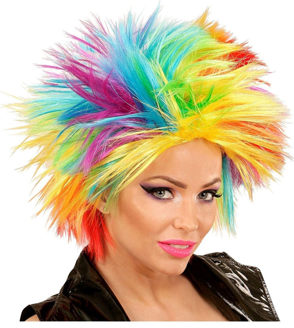 Regenboog Pruik van Widmann koop je bij Partywinkel