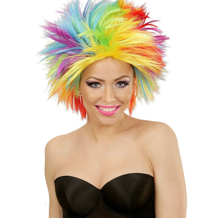 Regenboog Pruik van Widmann koop je bij Partywinkel