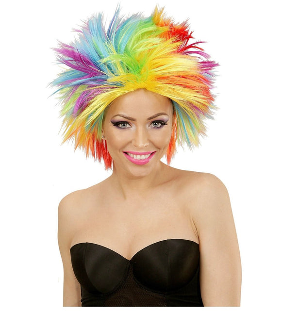 Regenboog Pruik van Widmann koop je bij Partywinkel