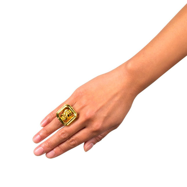 Ring Dollar van Boland koop je bij Partywinkel