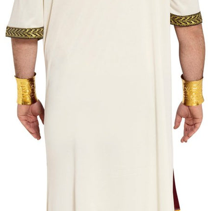 Romeins Kostuum Caesar van Fiestas Guirca koop je bij Partywinkel