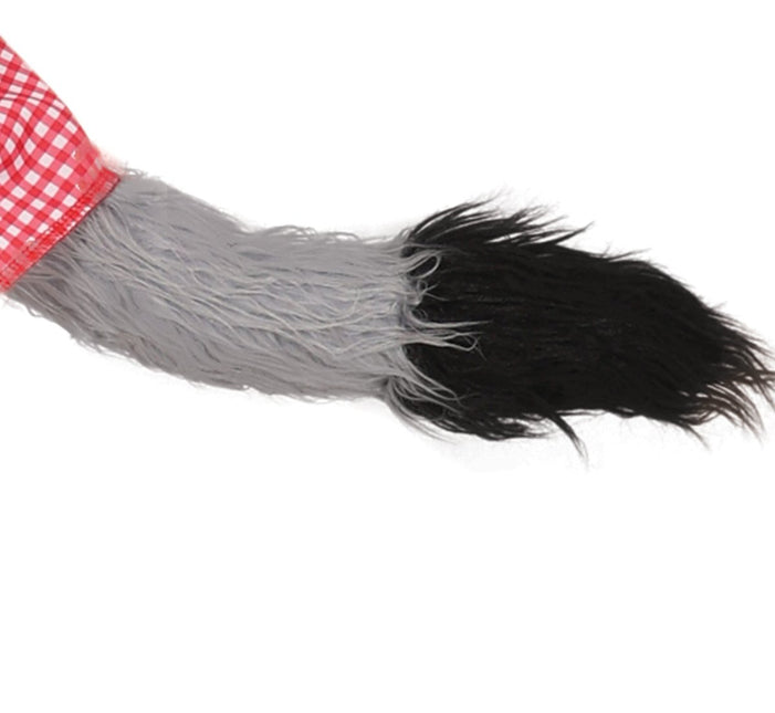 Roodkapje Kostuum Heren - Partywinkel - 8434077860991