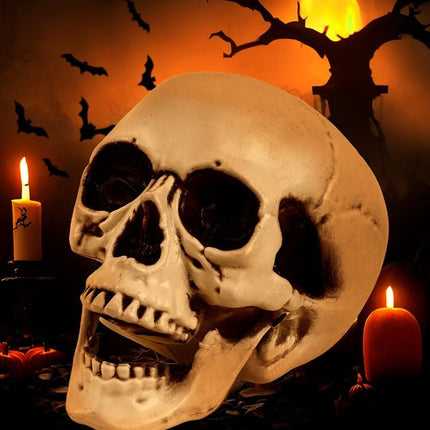 SCHEDEL MET BEWEEGBARE KAAK 28 CM van Widmann koop je bij Partywinkel