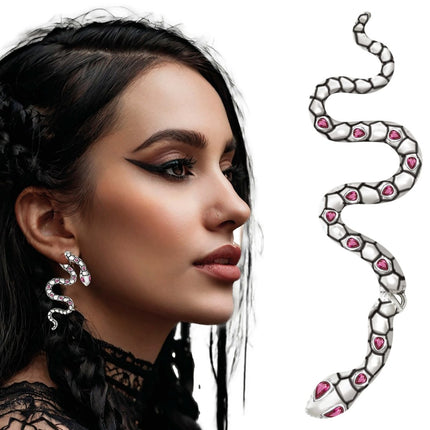 Slang Oorbellen Zilver 6cm van Fiestas Guirca koop je bij Partywinkel