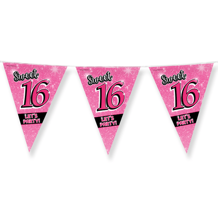 Slingers Sweet 16 10m van Paper Dreams koop je bij Partywinkel
