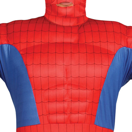 Spiderman Kostuum van Fiestas Guirca koop je bij Partywinkel