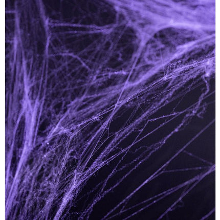 Spinnenweb Paars met 2 Spinnen 60gr van Partydeco koop je bij Partywinkel