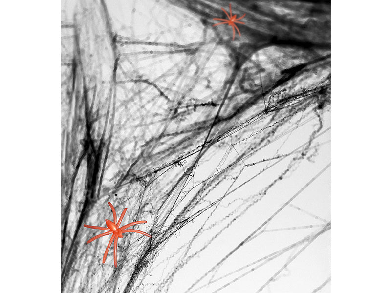 Spinnenweb Zwart met 2 Spinnen 60gr van Partydeco koop je bij Partywinkel