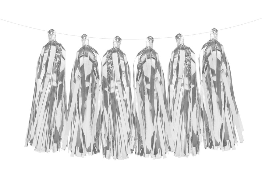 Tassel Slinger Zilver 2m van Partydeco koop je bij Partywinkel