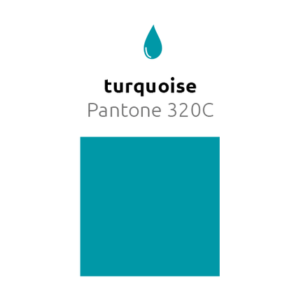 Turquoise Ballonnen 25cm 10st - Partywinkel - 8436540892478