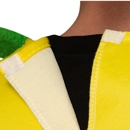 Ananas - Uno <tc>Dimensioni</tc>