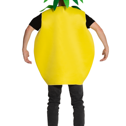 Ananas - Uno <tc>Dimensioni</tc>