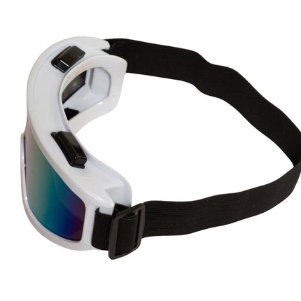 Occhiali da sci bianchi