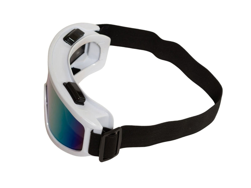 Occhiali da sci bianchi