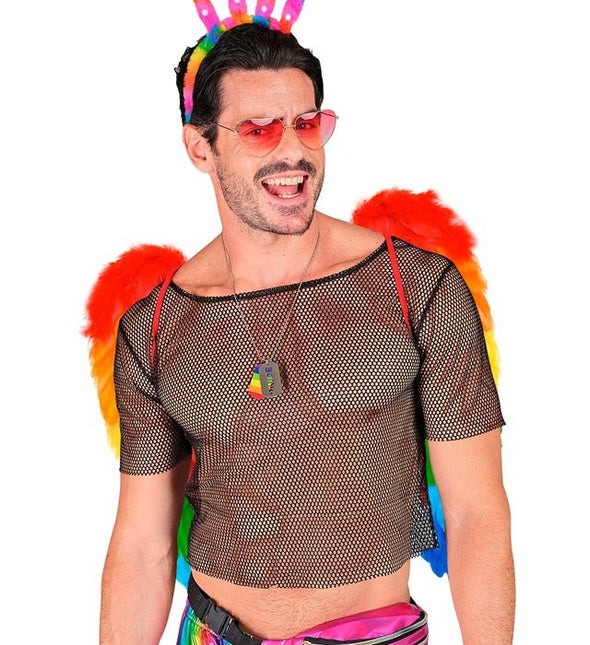 VEREN VLEUGELS REGENBOOG OPVOUWBAAR 50 X 50 CM van Widmann koop je bij Partywinkel