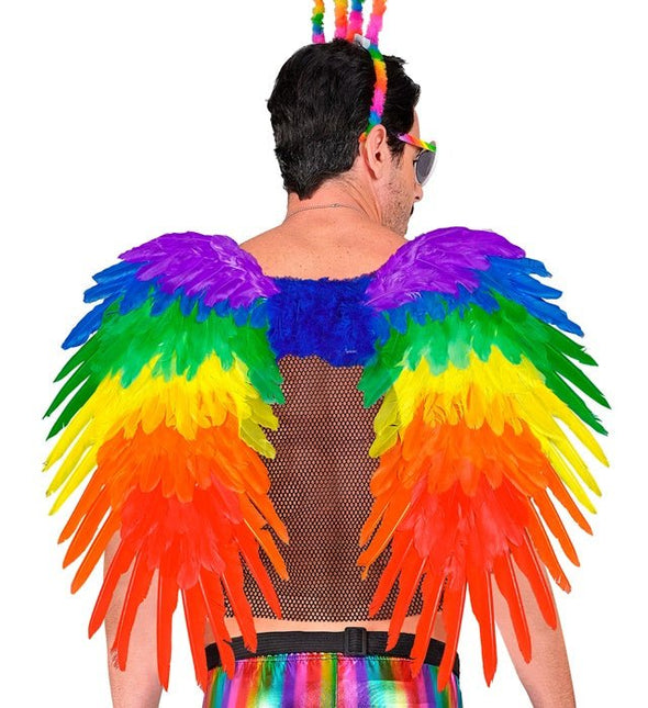 Veren Vleugels Regenboog Opvouwbaar 80X60 cm van Widmann koop je bij Partywinkel