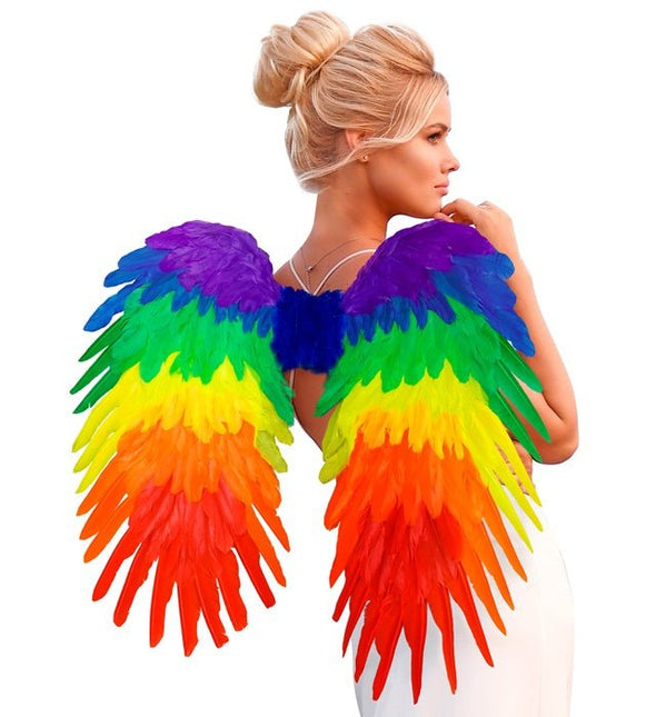 Veren Vleugels Regenboog Opvouwbaar 80X60 cm van Widmann koop je bij Partywinkel