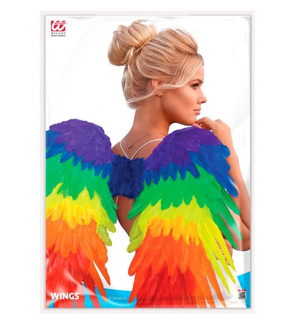 Veren Vleugels Regenboog Opvouwbaar 80X60 cm van Widmann koop je bij Partywinkel