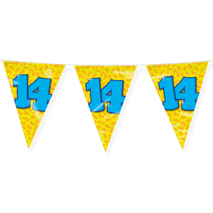 Vlaggenlijn 14 Jaar Gekleurd 10m van Paper Dreams koop je bij Partywinkel