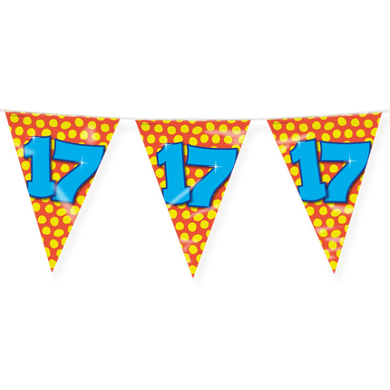 Vlaggenlijn 17 Jaar Gekleurd 10m van Paper Dreams koop je bij Partywinkel