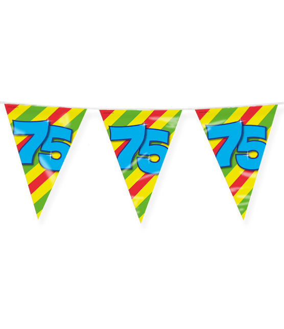 Vlaggenlijn 75 Jaar Gekleurd 10m van Paper Dreams koop je bij Partywinkel