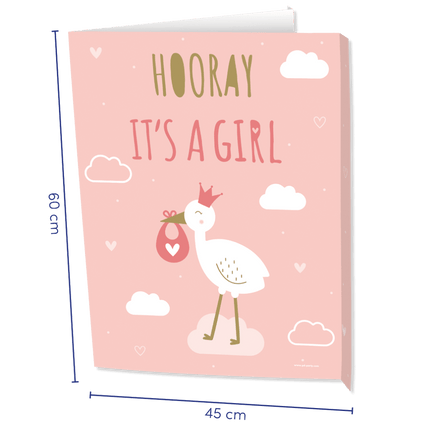Window signs Newborn baby girl 60cm van Paper Dreams koop je bij Partywinkel