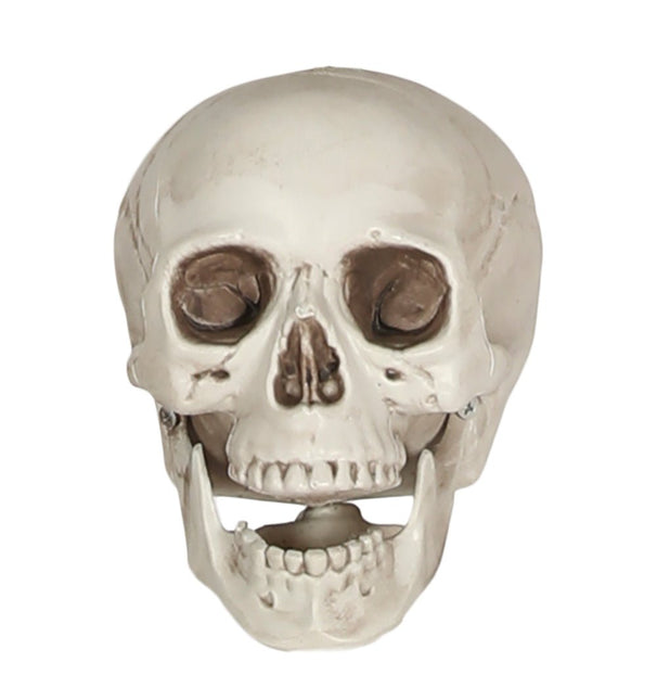 Witte Schedel 20cm van Fiestas Guirca koop je bij Partywinkel