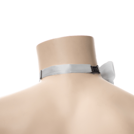 Zilveren Vlinderdas van Partychimp koop je bij Partywinkel