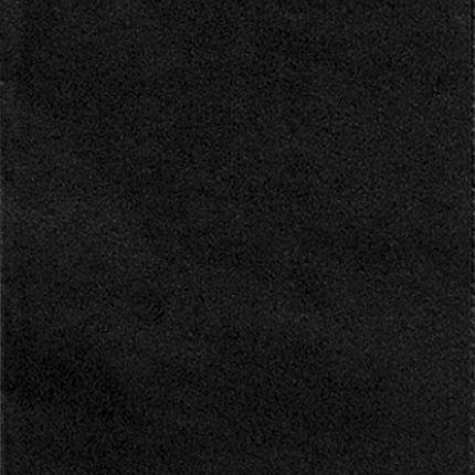 Zwarte Borden Rond 23cm 16st van Unique koop je bij Partywinkel